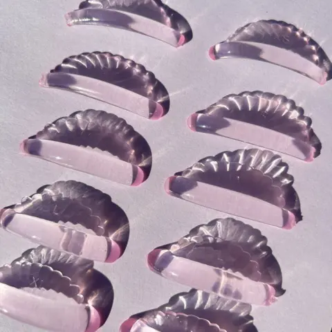 shell rosa.webp