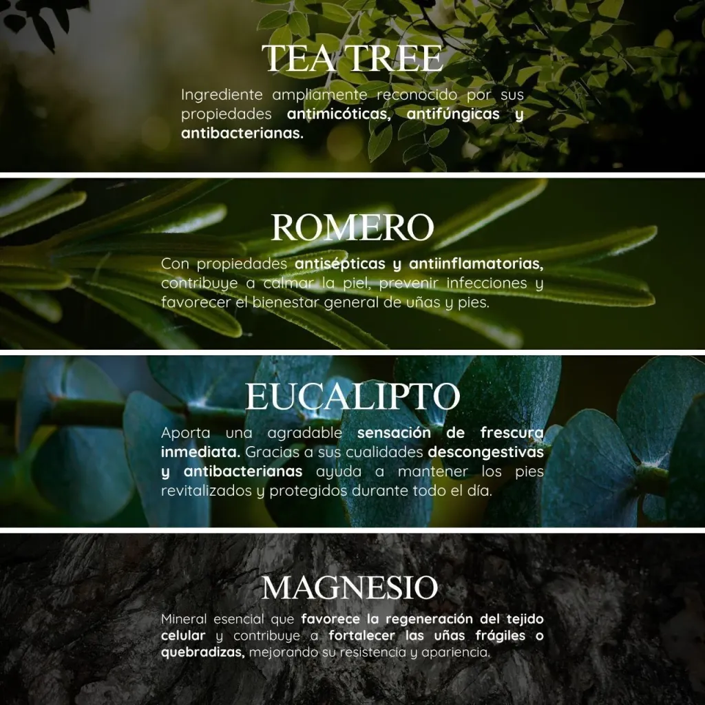 ingredientes.webp