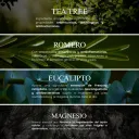 ingredientes.webp