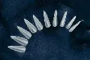 20951,2 Stiletto