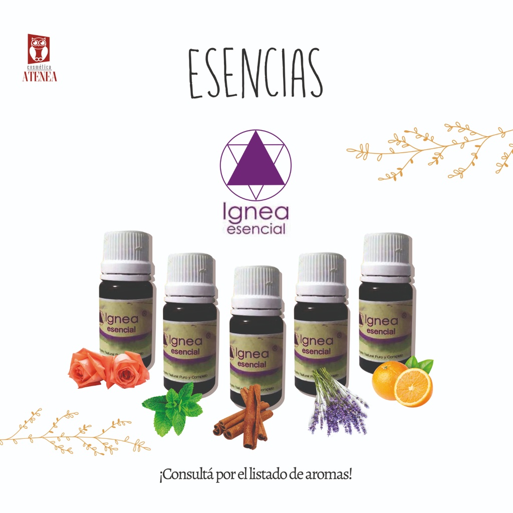 [1000] Aceites Esenciales Ignea 11cc (Albahaca)