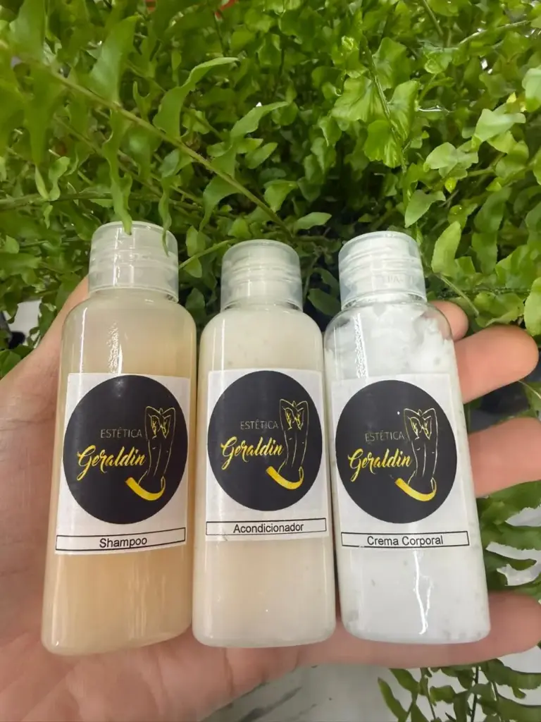 Kit toilette (shampoo, acondicionador, crema corporal)