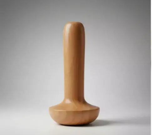 Hongo descontracturante