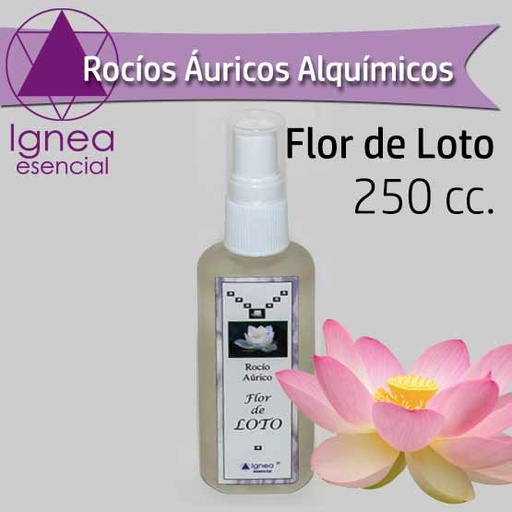 [1112] Rocio Aurico Flor de Loto x250cc