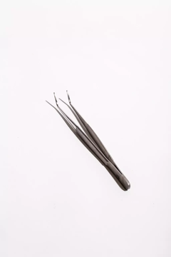 Pinza en forma de V Nail Show