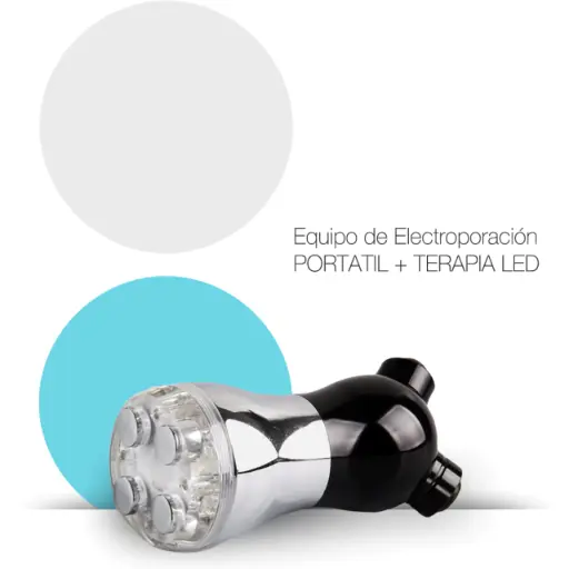 [4012] Electroporador portatil 
