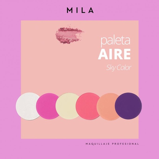 [6502] PALETA FULL COLOR 